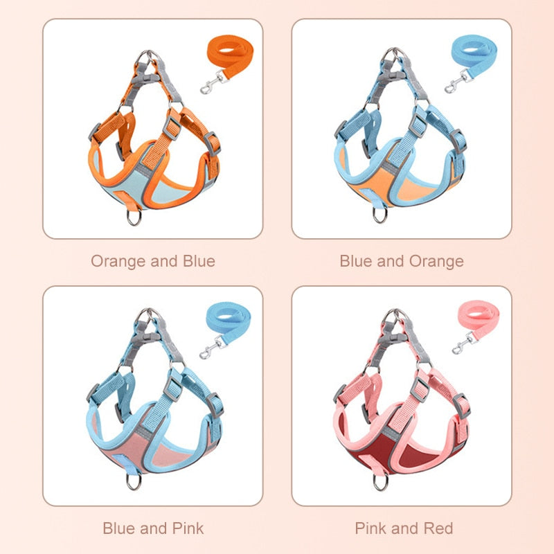 Harness for Small Dogs