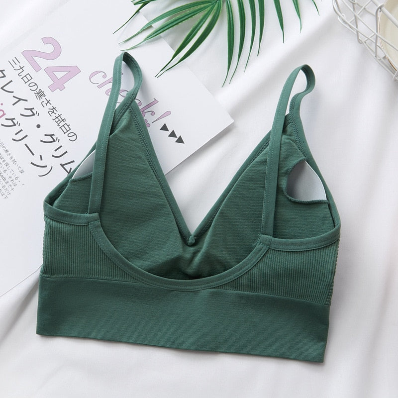 Sports Back Bra Quick Dry