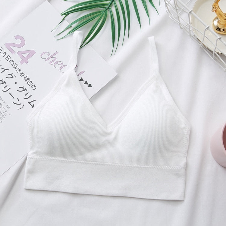 Sports Back Bra Quick Dry