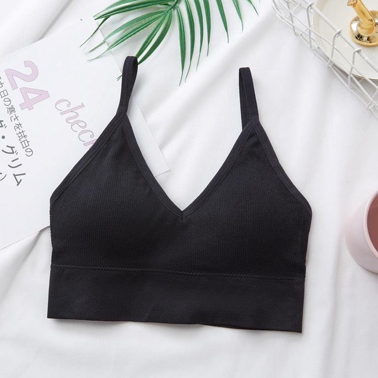 Sports Back Bra Quick Dry
