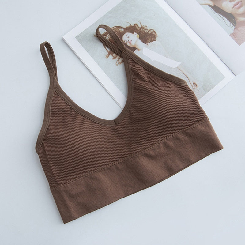 Sports Back Bra Quick Dry