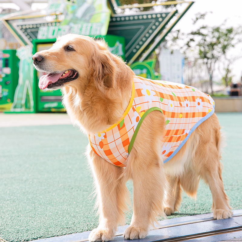 Thin Full Printed Vest Medium to Large Dogs