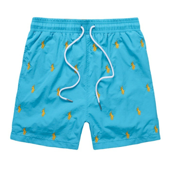 Leisure Fashion Shorts