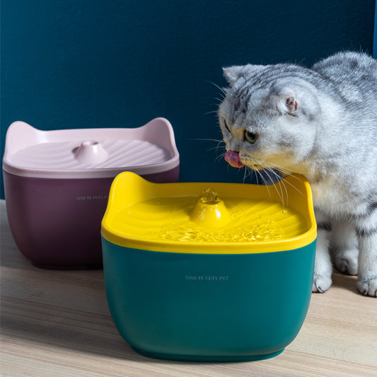 Automatic Water Dispenser