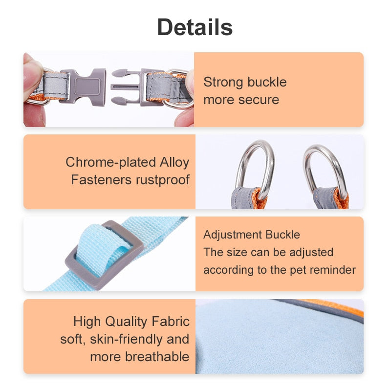 Harness for Small Dogs