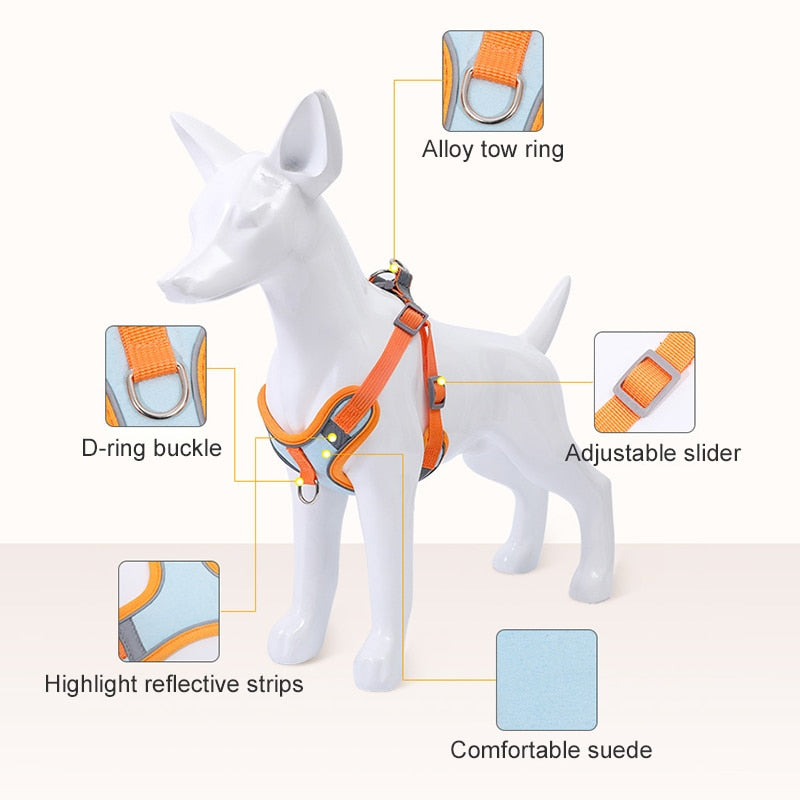 Harness for Small Dogs