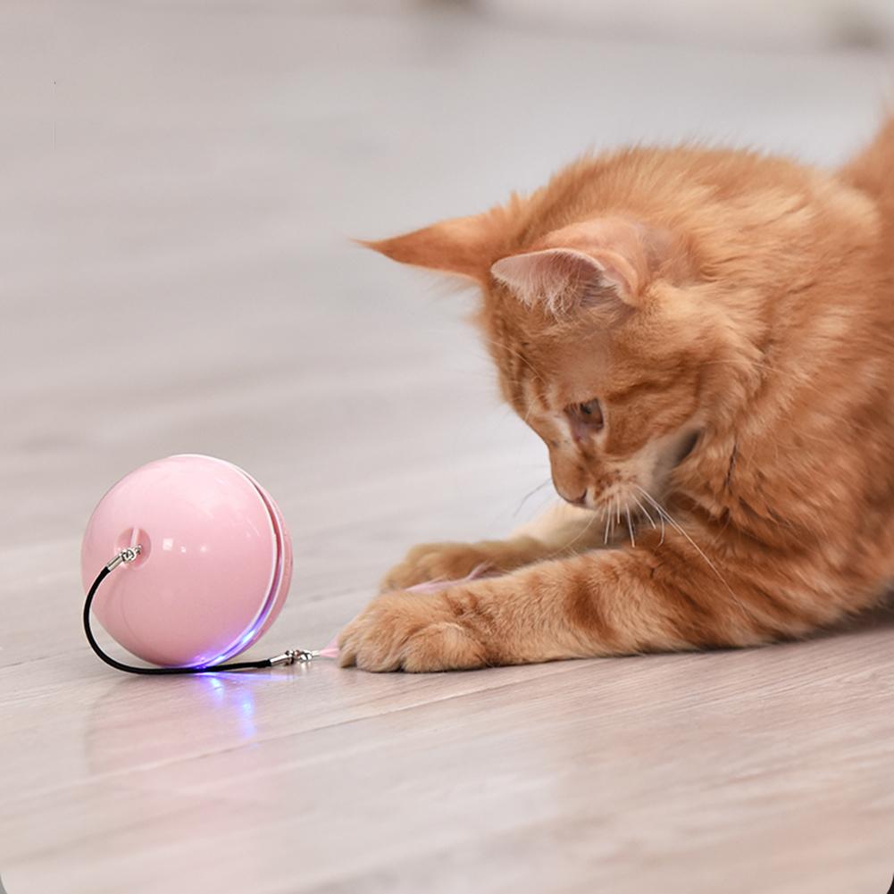 Self Moving Cat Toy